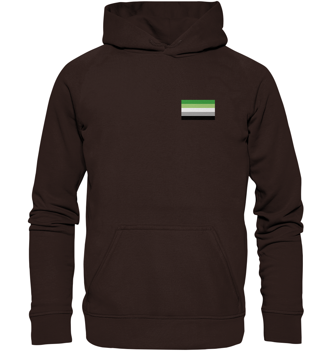 Aromantic Pride Flag Hoodie