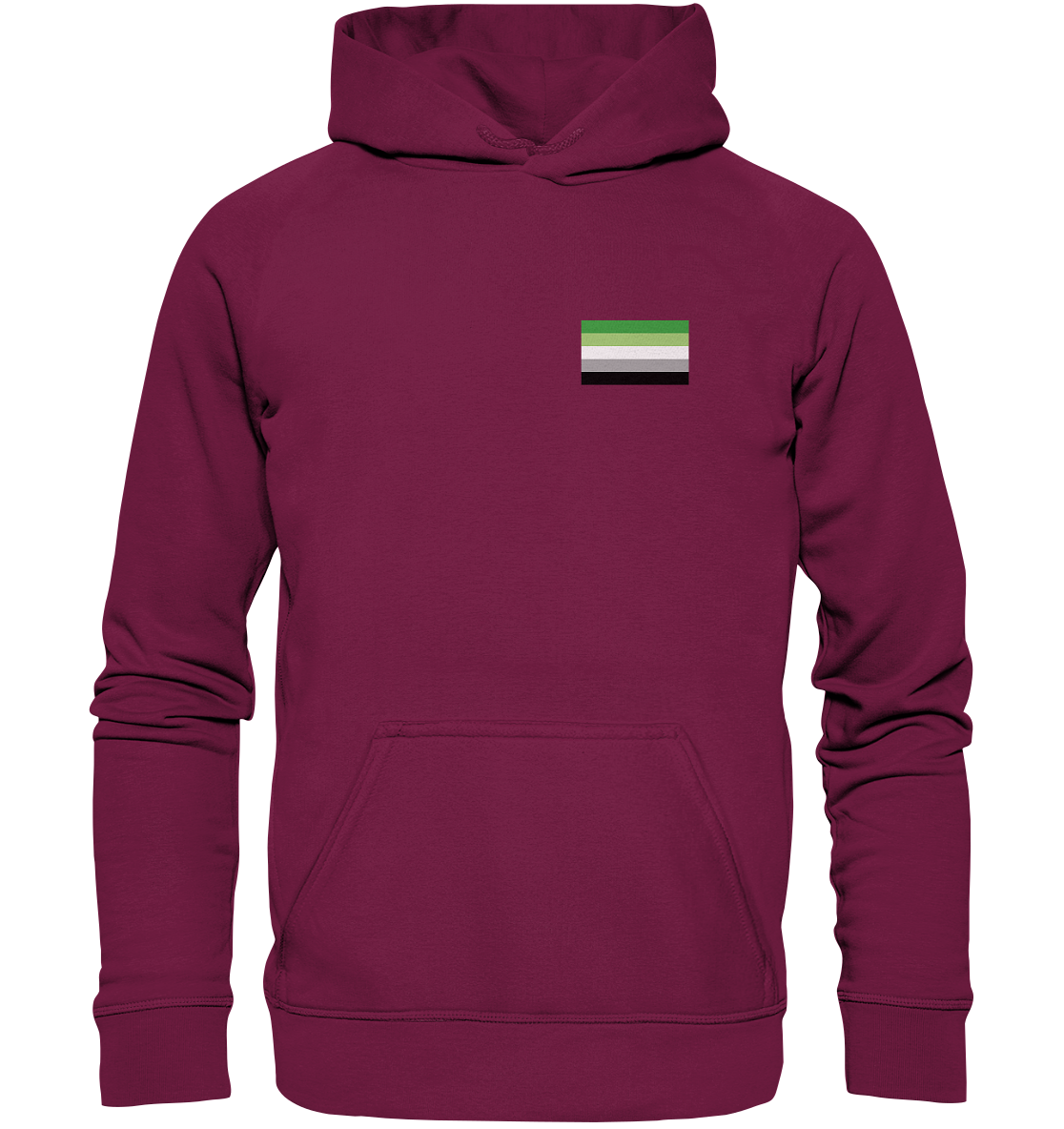 Aromantic Pride Flag Hoodie