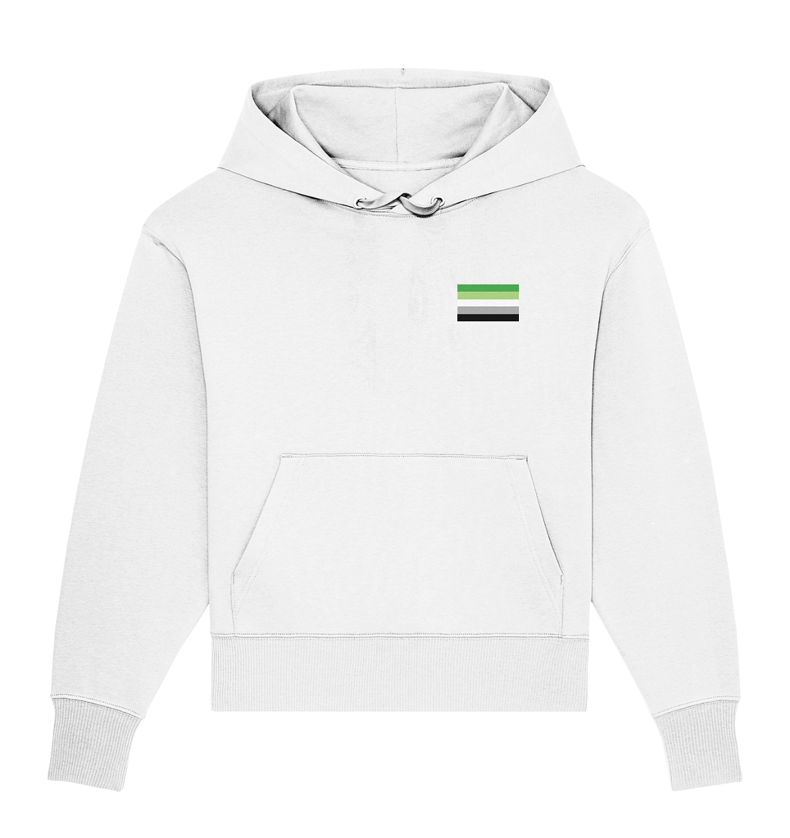 Aromantic Pride Flag Oversize Hoodie